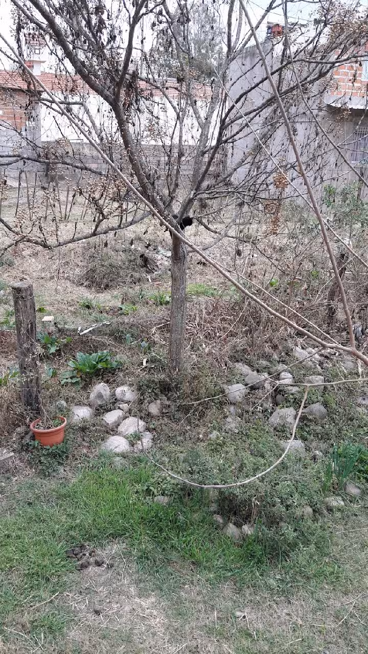 Entre Árboles Jujuy