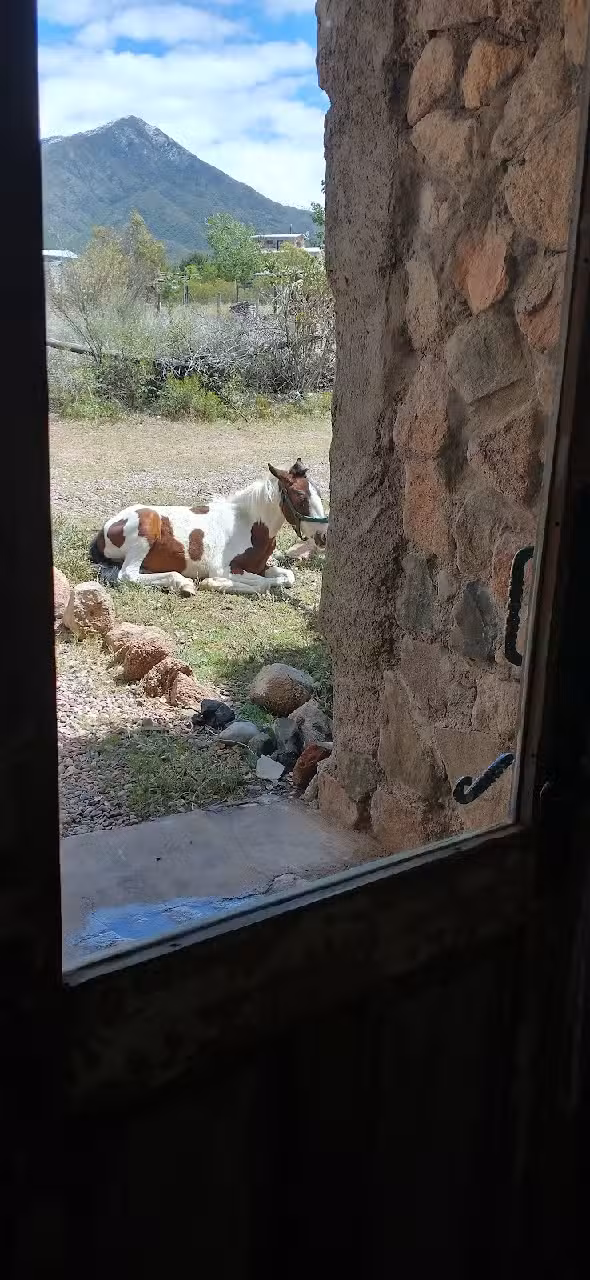 Entre Ceros posada sustentable