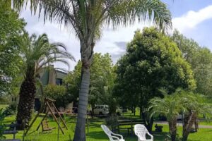 Entre Verde del Bosque Colon