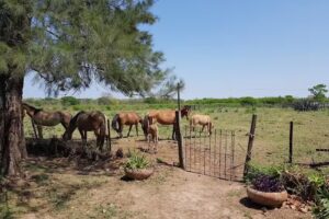 Establecimiento 3 de Mayo