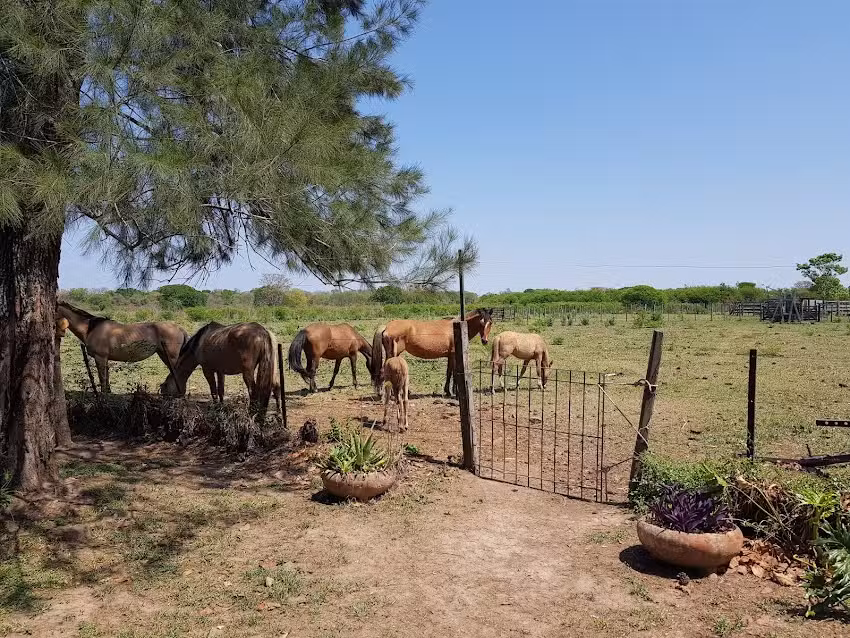 Establecimiento 3 de Mayo