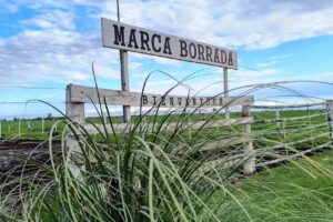 Establecimiento El Vasquito