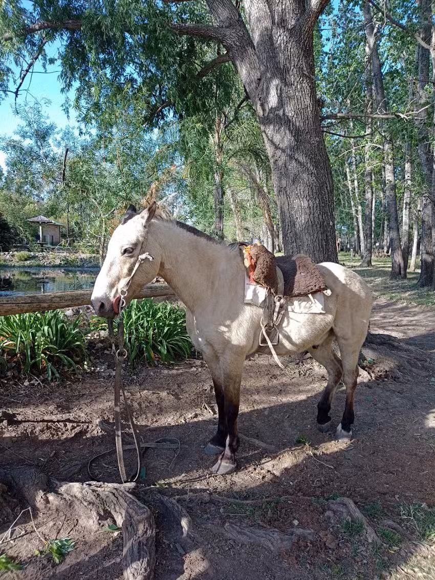 Establecimiento Esperanza Agroturismo
