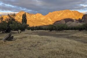 Establecimiento La Buitrera