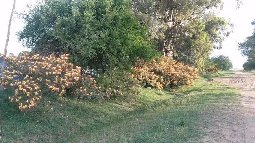 Establecimiento “La Chacha”