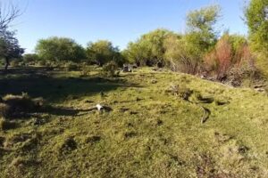 Establecimiento La Ponderoza