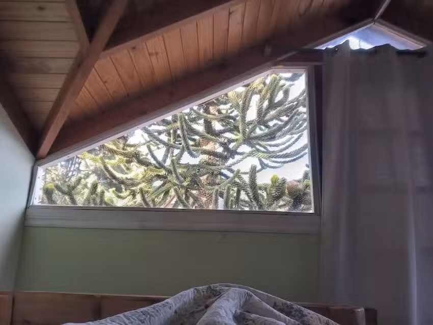 Establecimiento Leanday