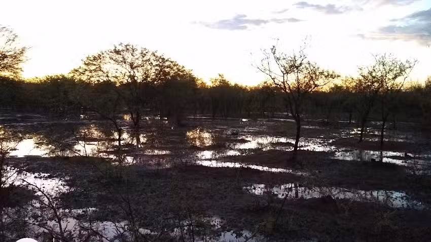Establecimiento San Jorge