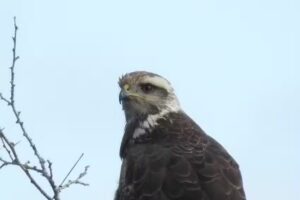 Establecimiento San Rafael – Reserva Natural Privada