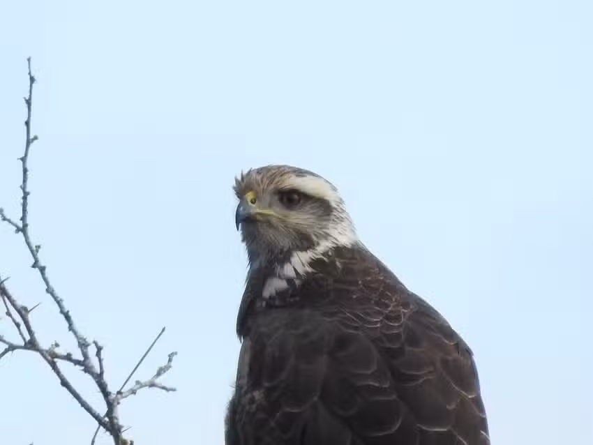 Establecimiento San Rafael – Reserva Natural Privada