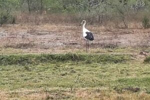 Establecimiento Santa Teresa