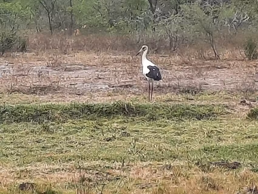 Establecimiento Santa Teresa