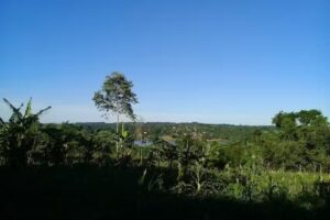 Estacia LA MILAGROSA CANAN Oasis Misiones