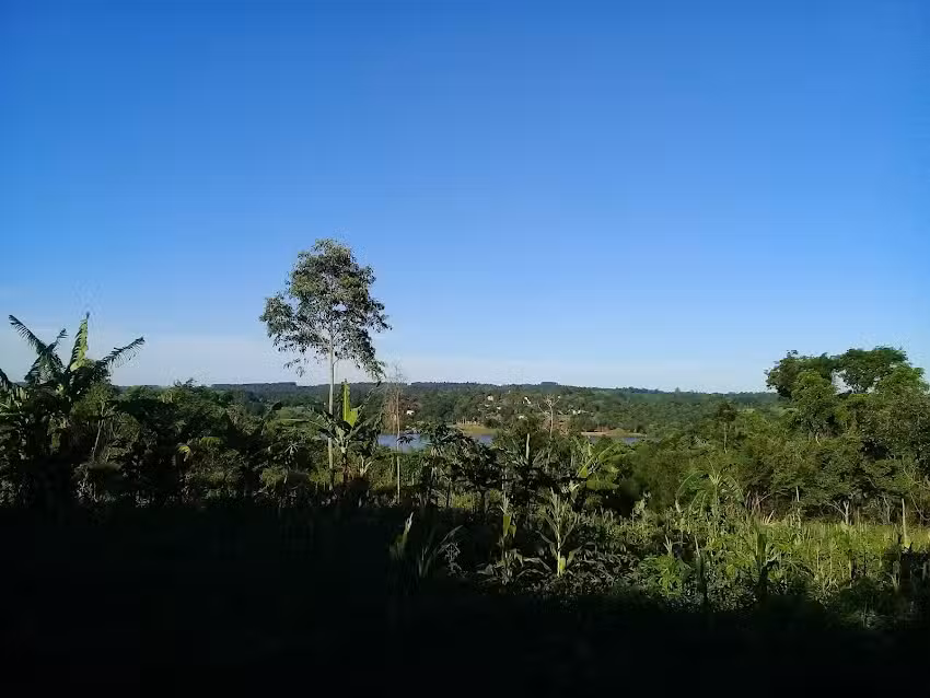 Estacia LA MILAGROSA CANAN Oasis Misiones