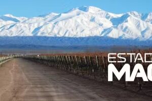 EstadiaMagica (Centro de San Rafael)