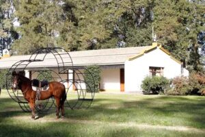 Estancia Argentina La Armonia