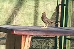 Estancia Buena Esperanza