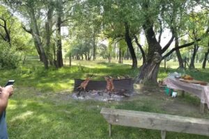 ESTANCIA CHOCHOY MALLIN