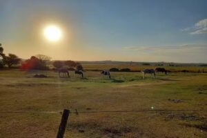 Estancia El Cerrito Victoria
