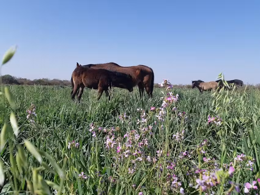Estancia la Esperanza