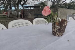 Estancia La Faustina