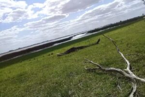 Estancia La Horqueta