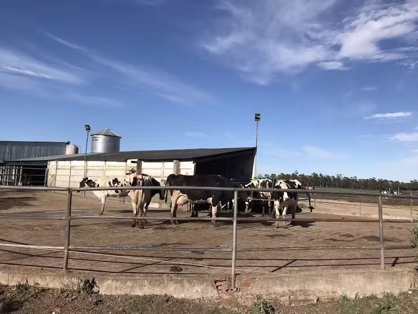 Estancia La Virginia, La Pastora, Tandil