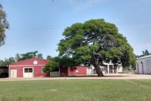 ESTANCIA LAS CAROLINAS