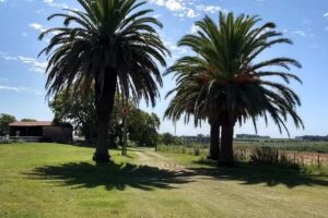 Estancia Las Margaritas