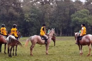 Estancia Las Mercedes