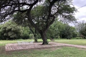 Estancia OL – Santa Maria