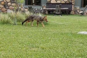 Estancia Rancho`E Cuero