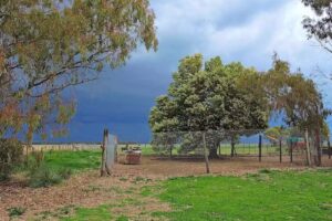 Estancia San Joaquin. Temporalmente cerrado