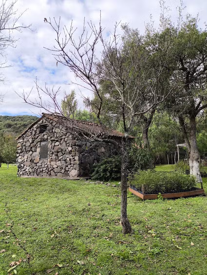 Estancia Santa Gertrudis