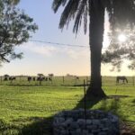 Estancia Santa Regina