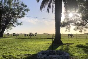 Estancia Santa Regina