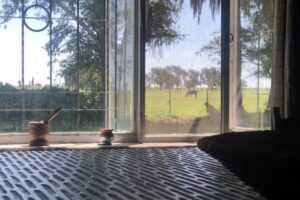 Estancia Santa Regina