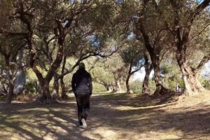 Esther Alquileres Deptos. Temporarios