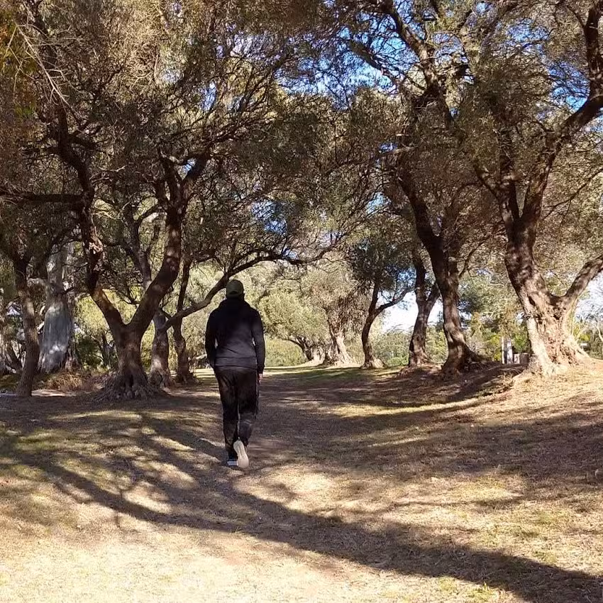 Esther Alquileres Deptos. Temporarios