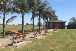 Evangelismo De Cosecha