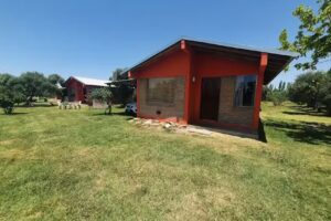 Finca Cozzari – Los Viñedos