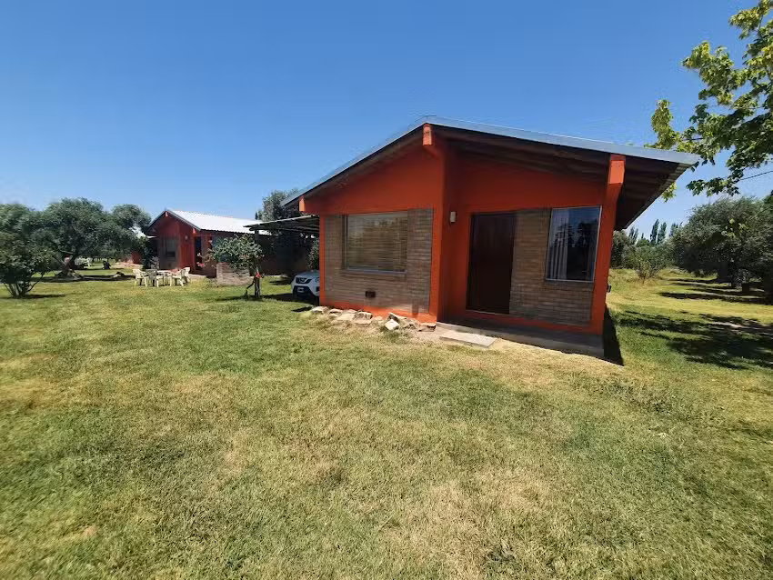 Finca Cozzari – Los Viñedos