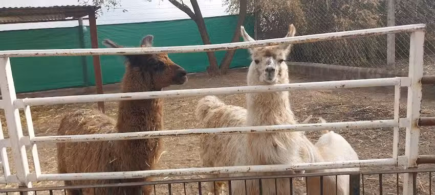 Finca Juan Pablo II