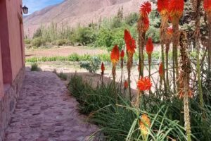 Finca “La Arenguita” – Bodega Santa Rosa de Lima