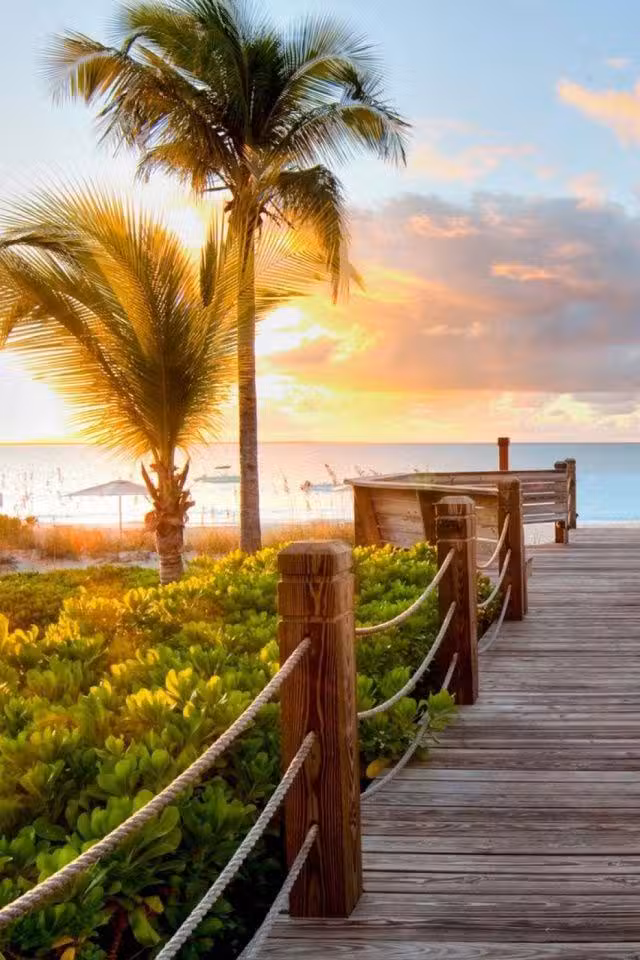 Finca “La Guadalupana”