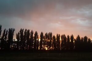 Finca la Tercer Copa