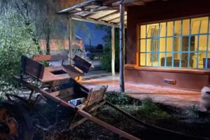 Finca Las Marujitas Lavalle Mendoza