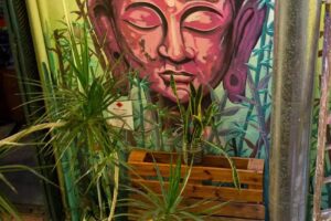 Freedom Hostel Rosario