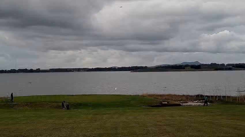 George Divine’s Forest