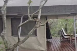 Glamping El Bermejito